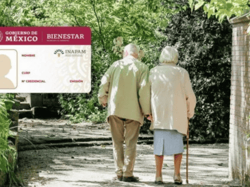 Esta credencial es una herramienta para que las personas que pertenecen a este sector de la población se identifiquen como un grupo prioritario en los programas para el bienestar. UNSPLASH.