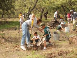 La jornada de reforestación al Bosque de la Primavera en 2024 será en julio y agosto y participarán diversas fundaciones. ESPECIAL