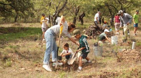 La jornada de reforestación al Bosque de la Primavera en 2024 será en julio y agosto y participarán diversas fundaciones. ESPECIAL