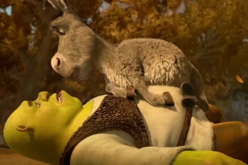 SHREK/Dreamworks 