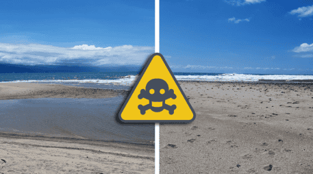 La autoridad federal nombró de una forma a la playa de Vallarta contaminada, pero los habitantes y turistas la conocen con otro nombre. EL INFORMADOR / O. Álvarez