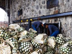 Información oportuna, registro de plantaciones y capacitación de los productores de agave y de Tequila son parte de los esfuerzos que ha realizado el Consejo Regulador del Tequila (CRT).