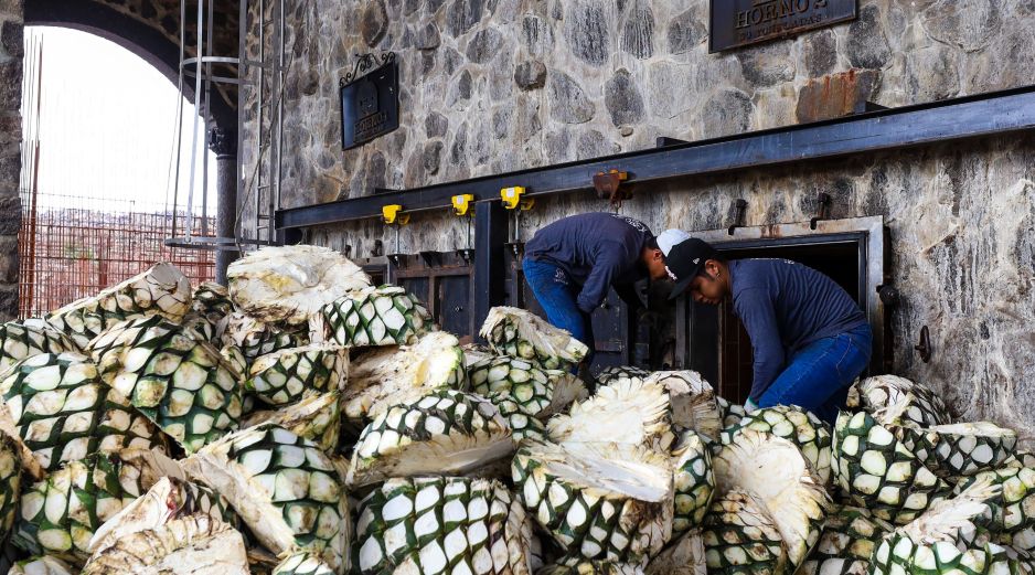 Información oportuna, registro de plantaciones y capacitación de los productores de agave y de Tequila son parte de los esfuerzos que ha realizado el Consejo Regulador del Tequila (CRT).