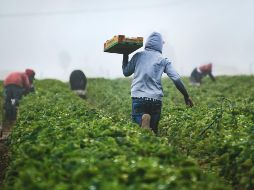 Se realizaron planes para enfrentar los retos del cambio climático. UNSPLASH / T. MOSSHOLDER