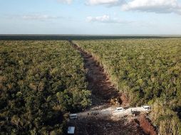 El Consejo que colabora con comunidades en sus iniciativas de manejo y uso sustentable de los recursos naturales del país, revisó a detalle cada tramo para la elaboración de dicho reporte. EFE / ARCHIVO