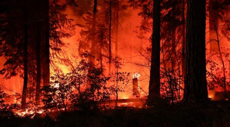 En Canadá, se trabaja para controlar el incendio que la semana pasada arrasó gran parte de la localidad de Jasper. EFE / J. MABANGLO