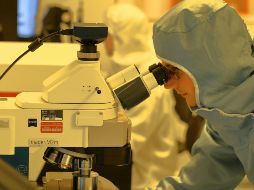 Este descubrimiento es fundamental para establecer tratamientos efectivos contra el cáncer. UNSPLASH / LN