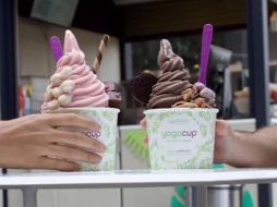 Yogocup ofrece una gran variedad de sabores para todos los gustos y que buscan salir de lo convencional para ofrecer experiencias únicas. CORTESÍA