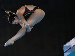 Ale Orozco estuvo en la élite desde muy temprana edad, pues justo a los 15 años ya había logrado una medalla de plata junto a Paola Espinosa. EFE/ Lavandeira.