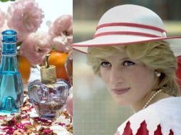 Los perfumes preferidos de la princesa Diana eran hechos con flores blancas. Unsplash y Pixabay