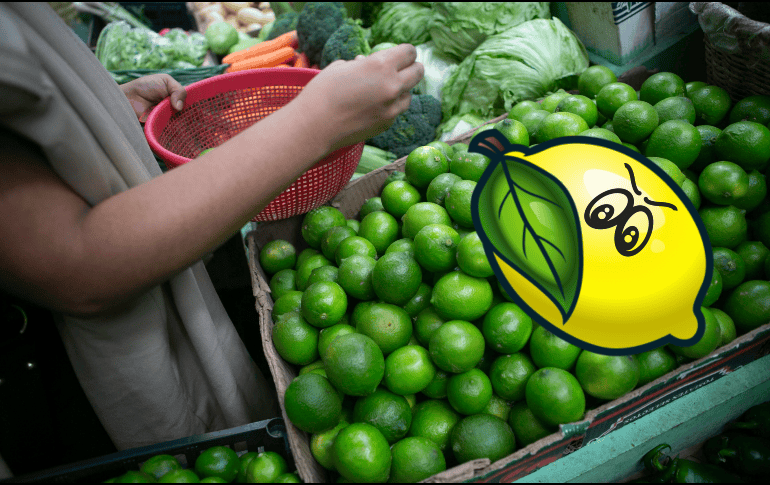 Los precios del limón se incrementarán por el paro de productores de limón en Michoacán, a pesar de que se espera una excelente cosecha debido a la temporada de lluvias. EL INFORMADOR / ARCHIVO