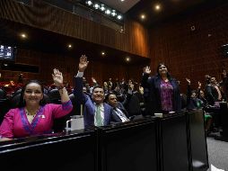 Diputados de Morena y sus aliados concretaron el primer paso para fulminar a los órganos autónomos. SUN/G. Pano