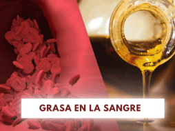 Se le llama hiperlipidemia cuando los niveles de grasa en la sangre son superiores a los adecuados. ESPECIAL/Imagen de congerdesign en Pixabay/Imagen de Narupon Promvichai en Pixabay