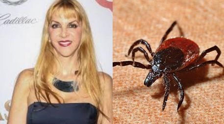 La exconcursante de LCDFM no ha ofrecido muchos detalles sobre su diagnóstico, por lo que se desconoce desde cuándo le fue detectada la enfermedad, el estado de su recuperación y cómo ha manejado los síntomas. INSTAGRAM/shanikberman