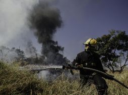 Protección Civil y Bomberos del municipio se ocuparon del incidente. EL INFORMADOR/Archivo