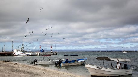 La Administración Nacional Oceánica y Atmosférica de Estados Unidos sancionó a México por pesca ilegal y prácticas dañinas para especies protegidas. EFE / ARCHIVO