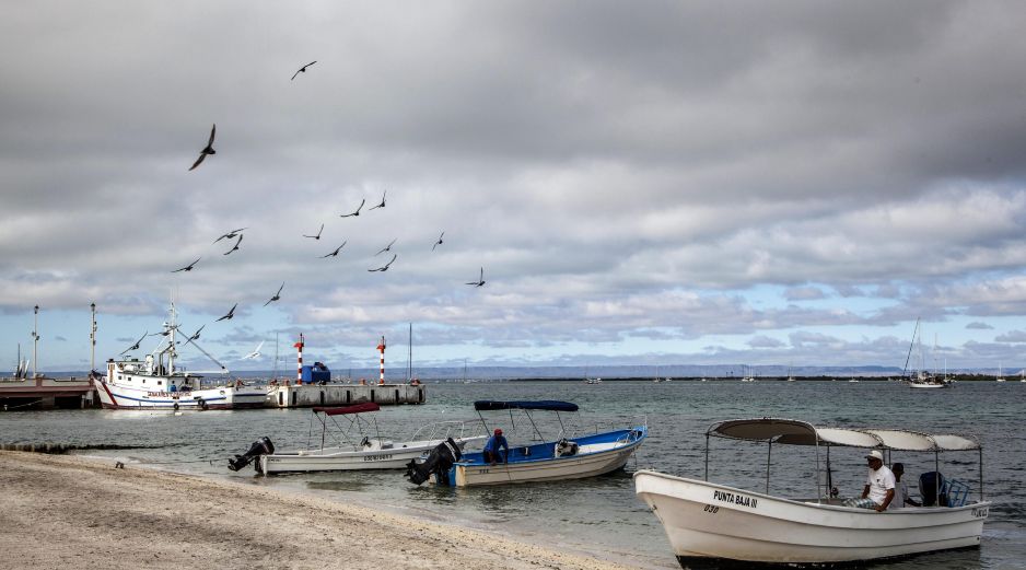 La Administración Nacional Oceánica y Atmosférica de Estados Unidos sancionó a México por pesca ilegal y prácticas dañinas para especies protegidas. EFE / ARCHIVO