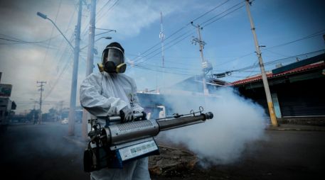 Salud Jalisco realiza fumigaciones en colonias y pide a la población mantener precauciones para evitar la proliferación de mosquitos. EL INFORMADOR/Archivo