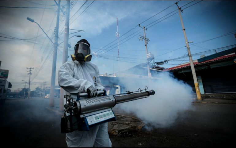 Salud Jalisco realiza fumigaciones en colonias y pide a la población mantener precauciones para evitar la proliferación de mosquitos. EL INFORMADOR/Archivo