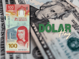 Es importante recordar que la cotización del dólar se actualiza a lo largo del día, por lo que es necesario revisarla constantemente si se requiere para alguna ejecución financiera. EL INFORMADOR / ARCHIVO