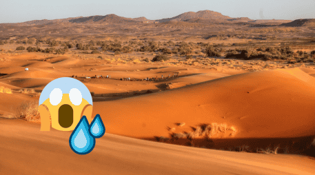 El Sahara es el desierto cálido más grande del mundo. Flickr