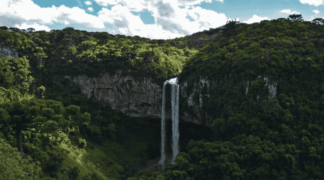 La selva amazónica es la más grande del mundo. Pexels