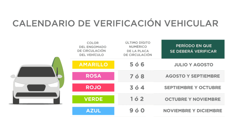 ESPECIAL / SEDEMA 