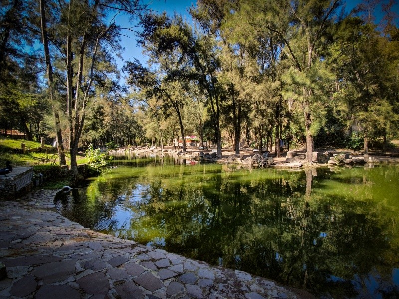 Maravíllate con el jardín japonés y los senderos rodeados de grandes árboles. EL INFORMADOR / ARCHIVO 