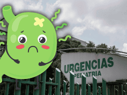 Hasta ahora se desconocen las causas que provocaron el malestar de las niñas y niños y qué tipo de alimentos o bebidas consumieron en la estancia. EL INFORMADOR / ARCHIVO