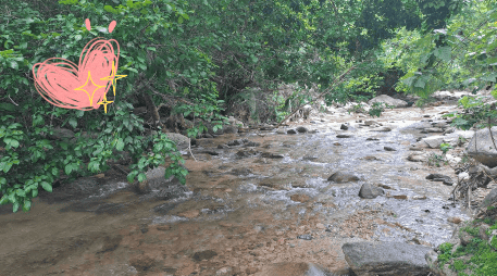 Estos cuerpos de agua son el destino perfecto para disfrutar al máximo de la Semana Santa 2025. EL INFORMADOR / O. Álvarez