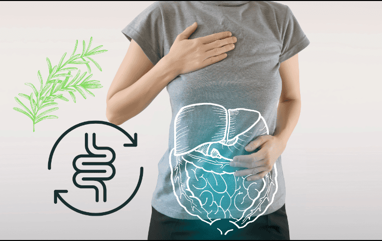 Esta es una de la hierbas más usadas en las cocinas tradicionales y con más beneficios para la salud humana. ESPECIAL/ CANVA