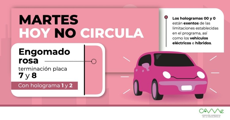 Estos autos son los que deberán descansar mañana. CORTESÍA /Comisión Ambiental de la Megalópolis.   