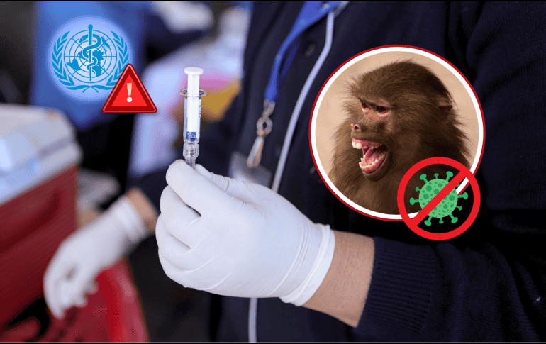 Aumentan los casos de una nueva variante de la viruela del mono y mantienen emergencia. INFORMADOR / C. Zepeda Moreno