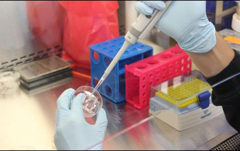 En dicho laboratorio se realizan pruebas para identificar patógenos. Pixabay