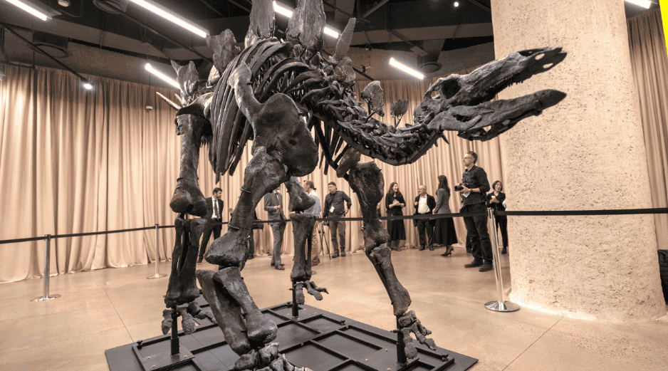 Este fósil de 150 millones de años, 3.5 metros de alto y 8.2 metros de largo. EFE / Ángel Colmenares