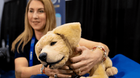 Estos son los inventos que mayor curiosidad han provocado en la Feria de Electrónica de Consumo . AP / Jack Dempsey)