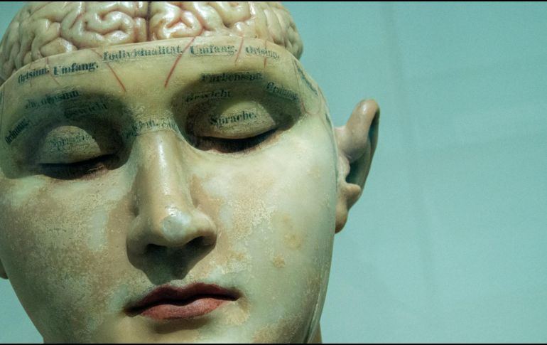 Esta relación integral muestra el equilibrio general del cuerpo y la mente. UNSPLASH / D. Matos