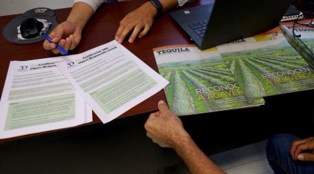 La ventanilla está ubicada en SADER Jalisco, con domicilio en avenida Hidalgo #1435, Piso 2. CORTESÍA.