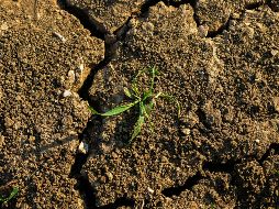 Eventos como huracanes, deslizamientos de tierra, inundaciones y sequías prolongadas han aumentado en frecuencia e impacto en la región. UNSPLASH / T. Rogers