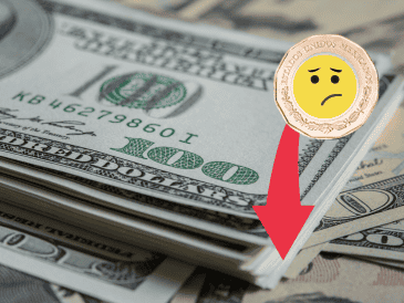 En algunas casas de cambio y ventanillas bancarias, el billete verde alcanzó un precio de venta de hasta 21.10 pesos por unidad. Freepik / Canva