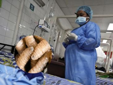 El paciente trabaja con ganado y presenta una "úlcera en uno de sus pies". EFE / ARCHIVO / ESPECIAL / GOBIERNO DE MÉXICO