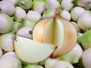 La cebolla, al ser rica en hidratos de carbono sencillos, fibra dietética y proteína, contribuye a la salud gastrointestinal, favorece el crecimiento de flora bacteriana y controla los niveles de colesterol. EL INFORMADOR / ARCHIVO