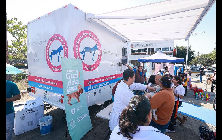 A partir de hoy, todos los domingos de este año se habilitarán puestos de vacunación y atención de mascotas; conciertos al aire libre; clases de batucada; activaciones físicas; asesorías nutricionales, entre otras actividades. EL INFORMADOR / H. Figueroa