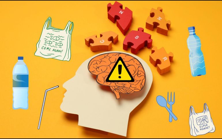 La detección de microplásticos en el cerebro humano subraya la necesidad de investigaciones más profundas para comprender sus rutas de entrada, mecanismos de acumulación y posibles efectos en la salud.  CANVA