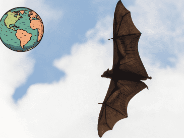 El murciélago de nariz larga mexicano ha sido catalogado como una especie en peligro bajo la Ley de Especies en Peligro de 1988 EFE / ARCHIVO