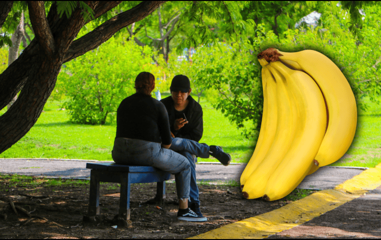A pesar de no estar demostrado de forma científica que el consumo de plátano reduzca los calambres, sus ingredientes como potasio, agua e hidratos de carbono en forma de glucosa favorecen a las personas que realizan ejercicio. EL INFORMADOR / ARCHIVO