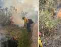 La corporación estatal resalta que el incendio no se ha propagado rápidamente debido a las condiciones climáticas. ESPECIAL / PC JALISCO