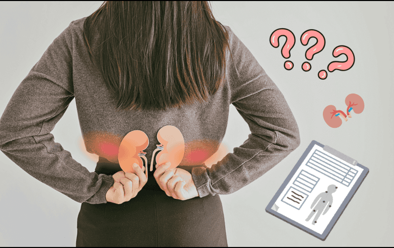 Es importante detectar a tiempo alguna falla o anomalía en los riñones para evitar que se agrave. ESPECIAL