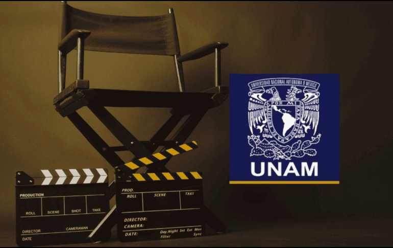 En la página principal, tienes la opción de buscar directamente el título que te interesa o navegar por sus distintas secciones. CANVA / UNAM