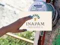 La tarjeta del Inapam se puede tramitar a partir de los 60 años. EL INFORMADOR / ARCHIVO